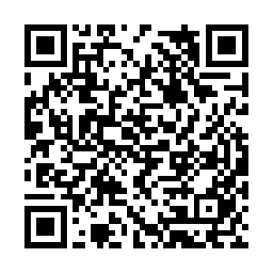 从次空间中飞快的回到妖帝族们所在的环形区域中二维码生成