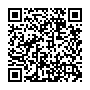 从此又多了一个弟媳妇……又要封闭六识睡觉了二维码生成