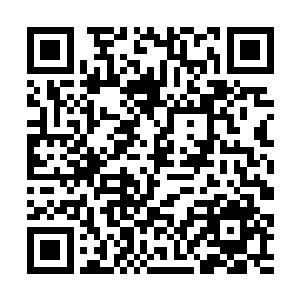 从此后再也没有被雷欢喜命名为强盗鱼的这一物种了二维码生成