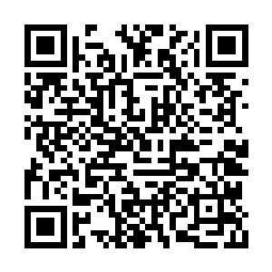 从此率领七朵金莲专门针对我们的大后方搞破坏二维码生成