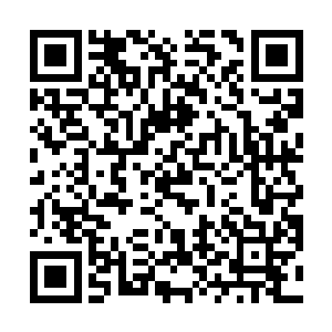 从纳芥环之中拿出了十枚混元丹递给了守在门口的武者二维码生成