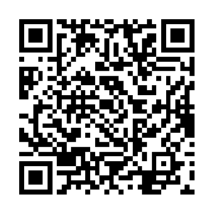 从而让荣耀至死的歌迷们第一次有了正式的统一称呼二维码生成