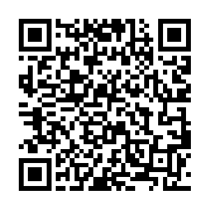 从背包里拿出了随手封印了好几层定魂符的云纹盒子二维码生成