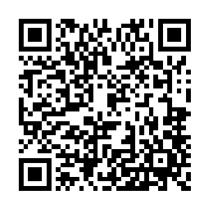 从背包里拿出自己的记事本和智能手机开始办公二维码生成