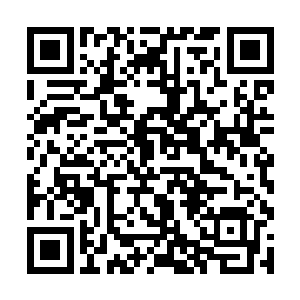 从血洞之中还可以看到那几具尸体的内部破损的脏器二维码生成