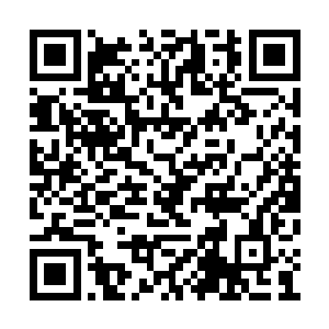 从血色心魔的咽喉深处爆出一声惊天动地的巨响二维码生成