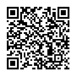 从表面来看他看得出小米身体似乎没有什么病变的情况二维码生成
