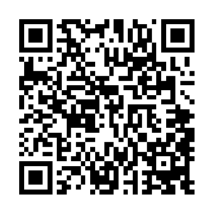 从袖子里抽出一方锦帕放在邹同捧着的一个朱漆木盘里笑道二维码生成