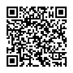 从被韩风一拳击中的地方开始向四周蔓延无数裂缝二维码生成