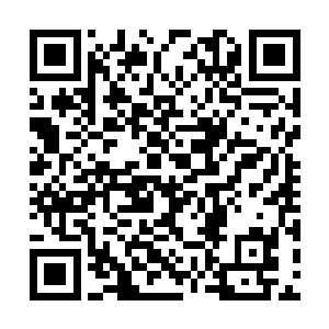 从角落里一个敷面膜的机器人身上扒下来的……啊二维码生成