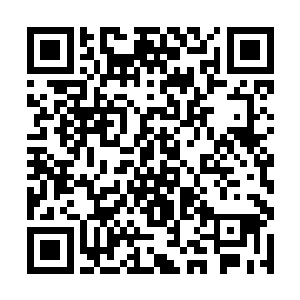 从贝海的角度来看就像是注视着一条黑色的海洋死神二维码生成