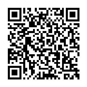 从超市采购了大量压缩饼干和巧克力等高能食物二维码生成