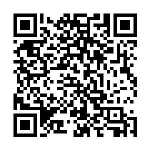 从身上掏出一粒药丸在祁连禹没反应过来之际塞进他嘴巴里二维码生成