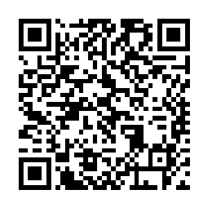 从身上斜挎的粉丝小猪兜里摸出一块黑巧克力递给他二维码生成