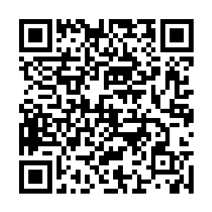 从车上走下来的竟然是一群穿着白色衬衫黑色长裤二维码生成