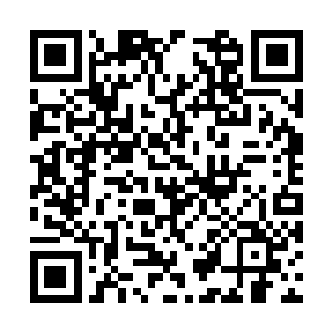 从这一件秘宝中飞射出来的蚀骨离火根本不能沾染二维码生成