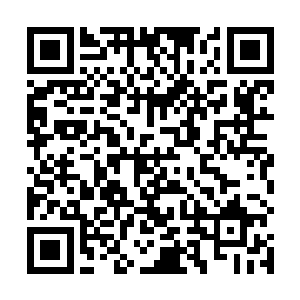 从这枚硬币的说明来看……这里应该不是人类世界……二维码生成