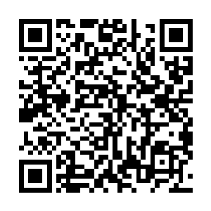 从这群学生们的口中了解了不少关于西湖美食节的历史后二维码生成