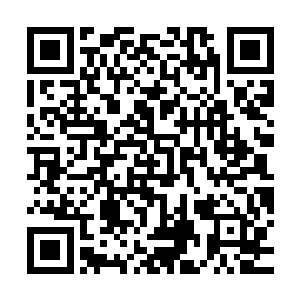 从进入了阴间公寓开始我便发现了自己的血似乎有着神奇的作用二维码生成