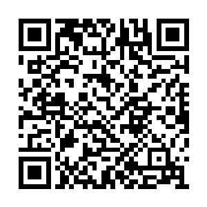 从避难所仓库中取了一些自己能用的东西带上后二维码生成