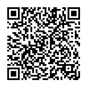 从那些飞行水蛭传回来的消息中又选择了一个隐世家族修士隐藏的方向飞去二维码生成