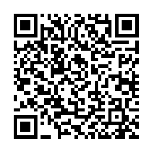 从那里能够眺望到前方黑压压的一群影子朝这边袭来二维码生成