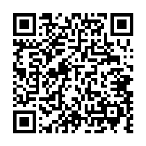 从郭药师……到那批朝廷的老爷兵……从西夏人……到娄室二维码生成