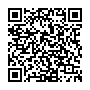 从里面放出一株保持着原型的一人多高的碧血莲二维码生成