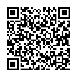 从随从携带的一个箱子里拿出了一把流星锤递给了白客二维码生成