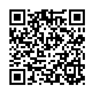 从雷氏去机场大概就需要一个半小时二维码生成