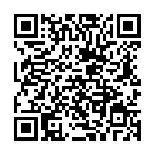 从魔法元素的浓郁程度看出这应该是一个高级魔法二维码生成