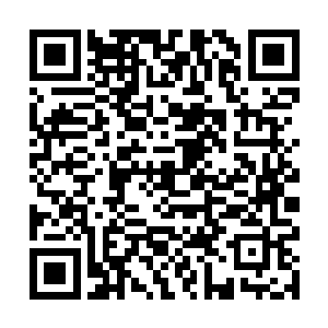 从F国到梵蒂冈如果是开车的话估计一天都到不了二维码生成