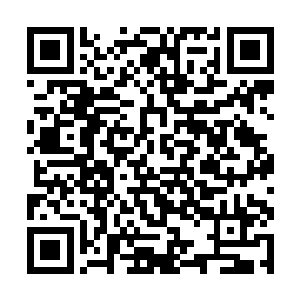 仓促间又如何能与两位全力爆发的天仙硬碰硬对抗呢二维码生成