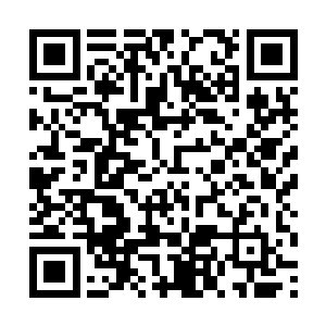 仓库的东西宁愿烂了也不会拿到贫穷的家中补贴经济二维码生成