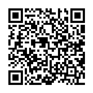 仓戈尔完全无法理解对手怎么会拥有如此快速的移动能力二维码生成