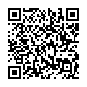 仔细听着张卫善在电话里汇报的ufb屏幕研发新数据二维码生成