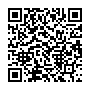 仔细品尝了一口之后立刻扬眉对着身边的丽丽夸奖着二维码生成