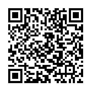 仔细的回想起在这典藏部内读过的每一本书籍的内容二维码生成