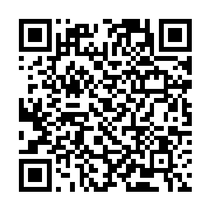 仔细观察之后才发现他们也都在刚才的斗争中陨落了二维码生成