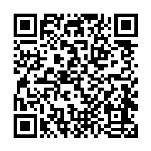 他……他一巴掌就将后天二层修为的杨秉坤给扇飞了二维码生成