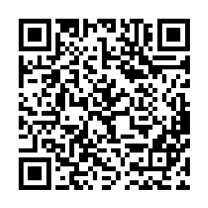他一个五鼎九阶的小子想要越级杀死那么多六鼎九阶的高手二维码生成