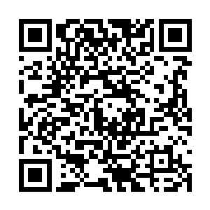 他一个国医大师竟然会特意点名叫我一个副教授去二维码生成