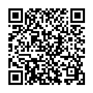 他一到这世界后不到半年时间就遇到了千载难逢的妖兽潮二维码生成