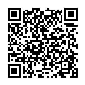 他一定会好好收拾一下这个智商掉线的白痴宠物~二维码生成