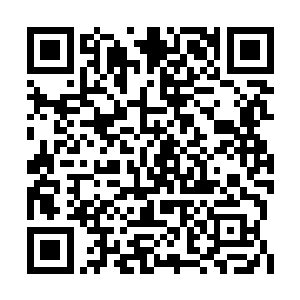 他一定要找个地方好好的试试实力进阶后的威力二维码生成