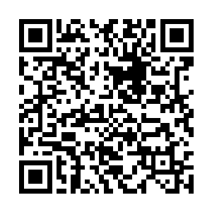 他一直以为四象尊者就只能是这个庞然大物的样子二维码生成