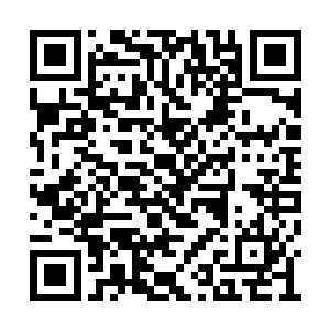 他一直在管委会一楼门厅里鬼鬼祟祟地转来转去二维码生成