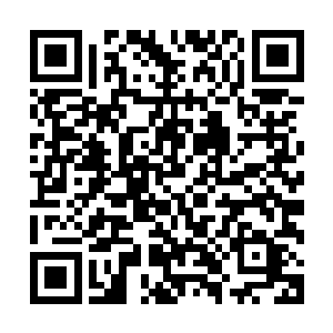 他一直引以为傲的堂哥史密斯刘就这么硬生生地给林烽跪下了二维码生成