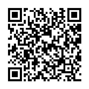 他万万没想到对方居然就这么一副满不在乎的样子二维码生成