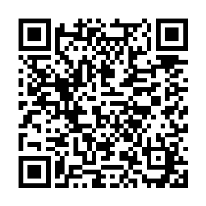 他万万没有想到蔡京还会送份这么特别的礼物给他二维码生成